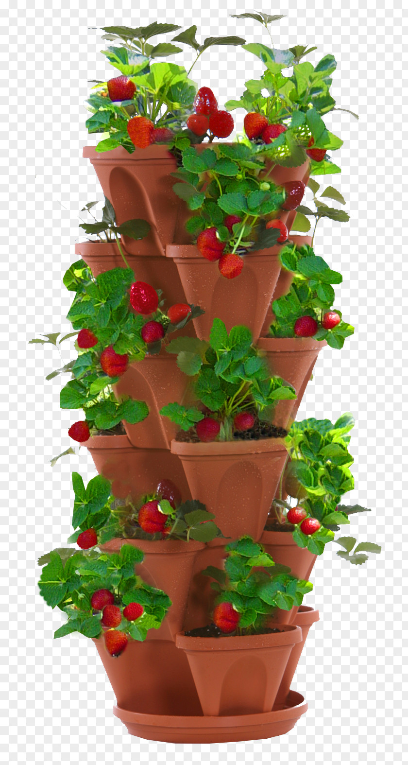 Pot Plant Flowerpot Strawberry Garden Food Herb PNG