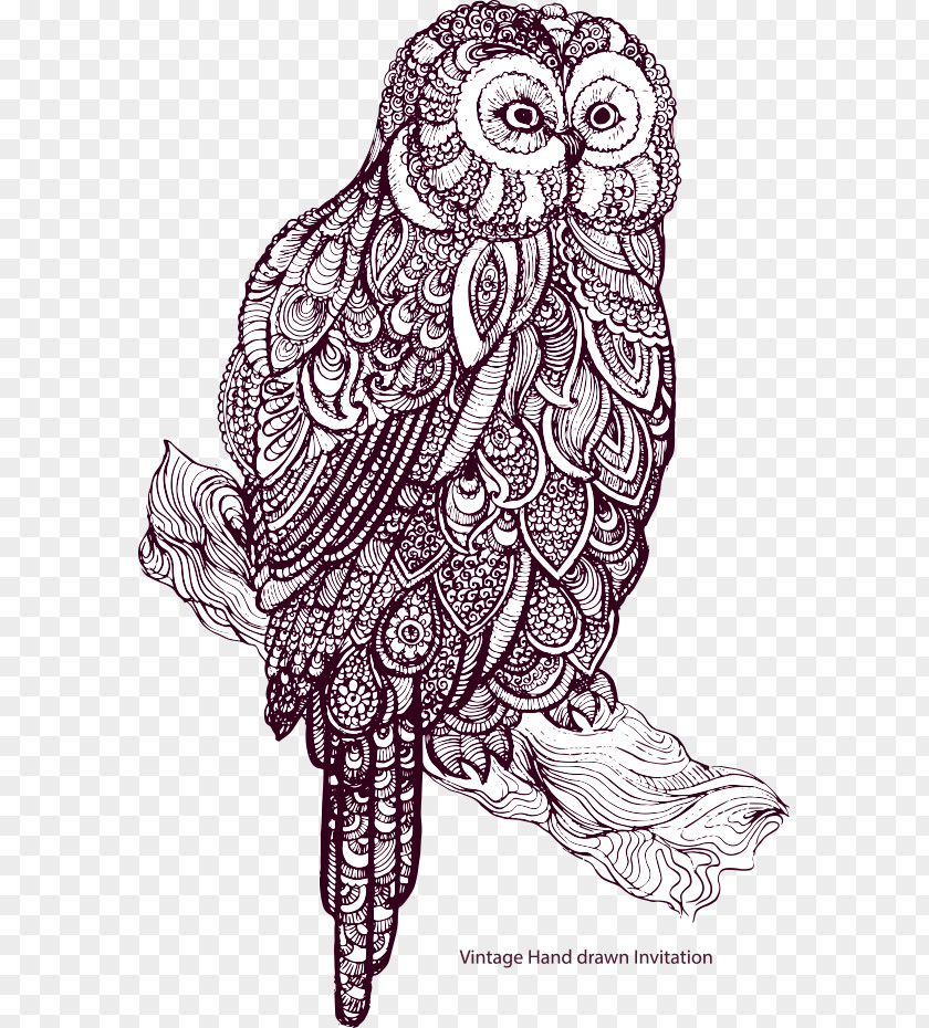 Vector Retro Owl Drawing Royalty-free Illustration PNG