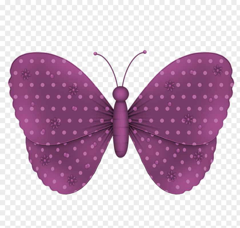 Butterfly Blog Clip Art PNG