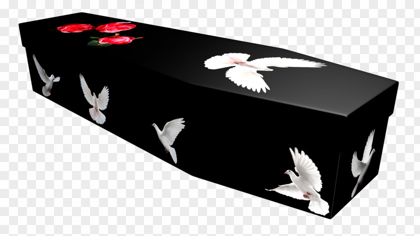 Coffin Cardboard Box Funeral Home PNG