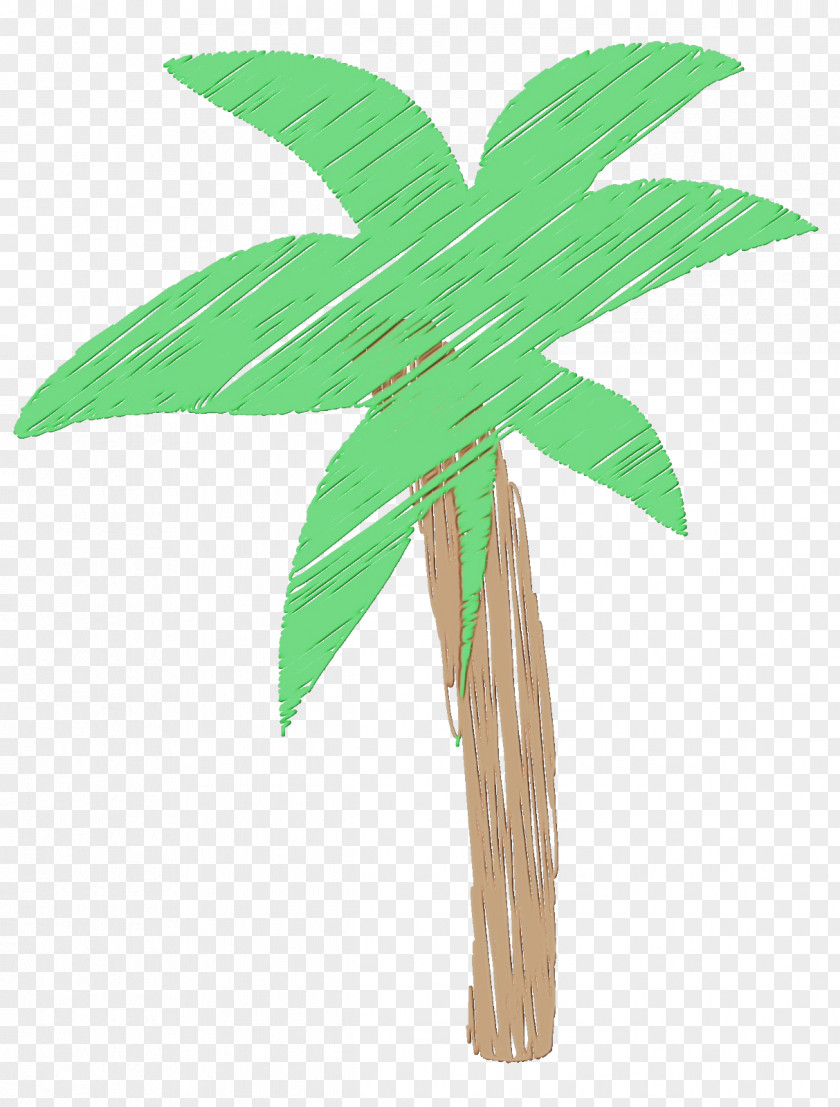 Houseplant Flower Palm Tree PNG