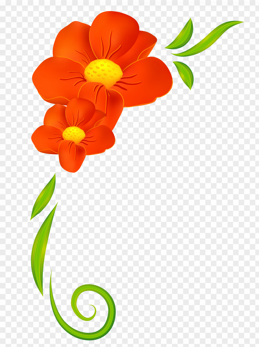 Orange Flower Clipart Clip Art PNG