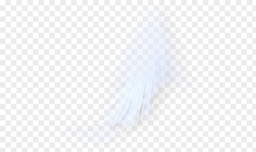 Veiled Close-up Eyelash Feather PNG