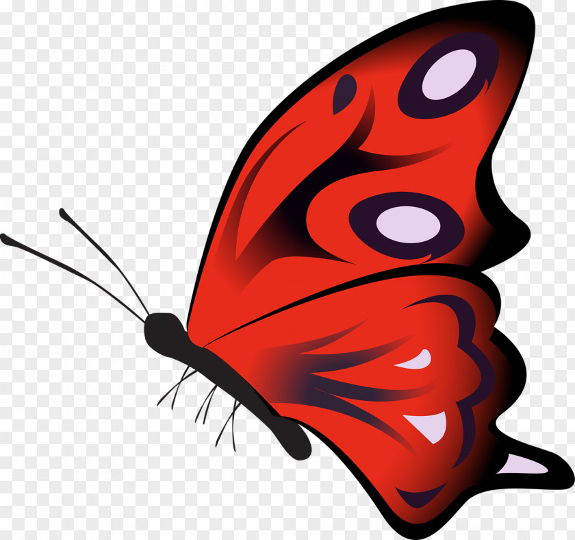 Butterfly Clip Art Monarch GIF PNG