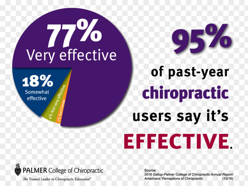Chir Palmer College Of Chiropractic Chiropractor Back Pain Spinal Adjustment PNG