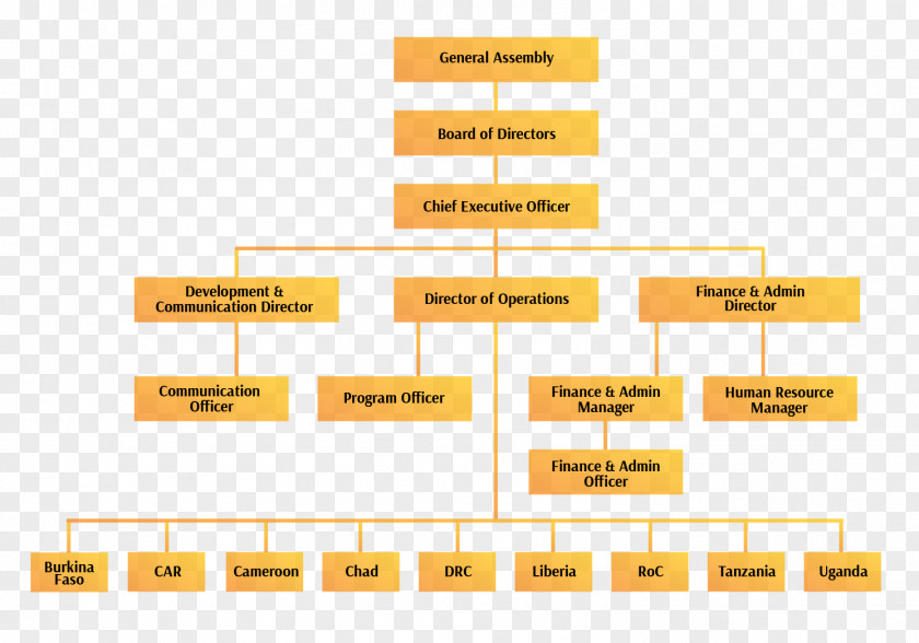 Costco Organizational Structure Chart Management PNG