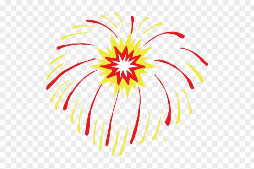 Firecracker Flower Fireworks Chinese New Year Vector Graphics Image PNG
