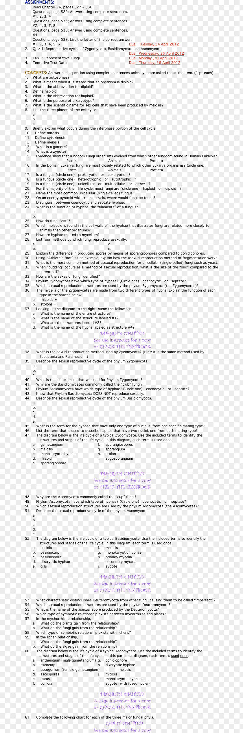 Fungi Paper Document Line Area Font PNG