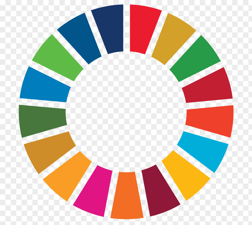 Goal Habitat III Sustainable Development Goals Sustainability Our Common Future PNG