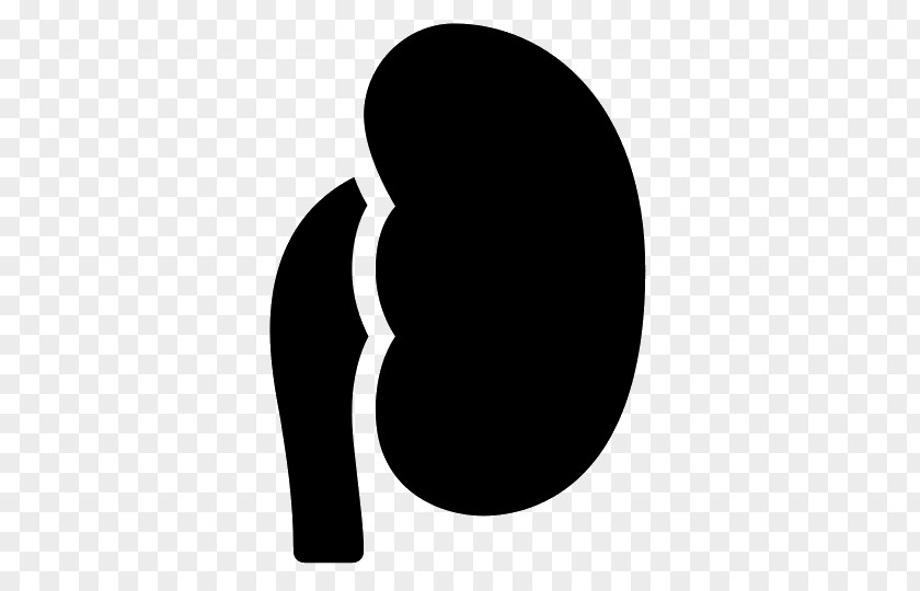 Kidney Logo PNG