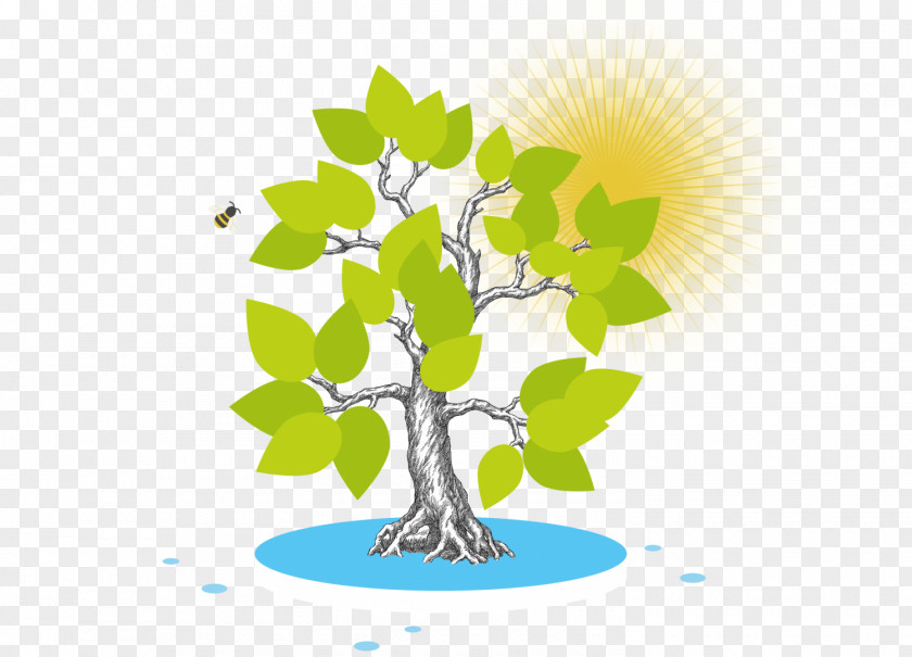 Korea Culture Branch Photosynthesis Baum Und Sonne Leaf Clip Art PNG