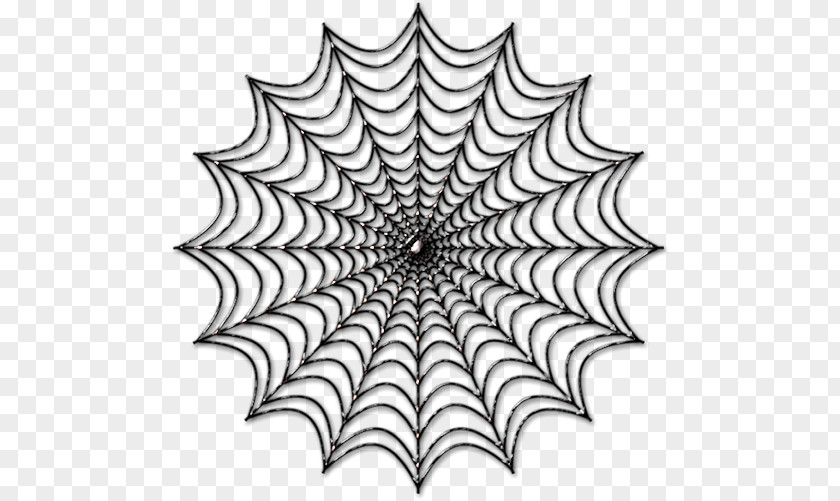 Spider Web Black And White Color PNG