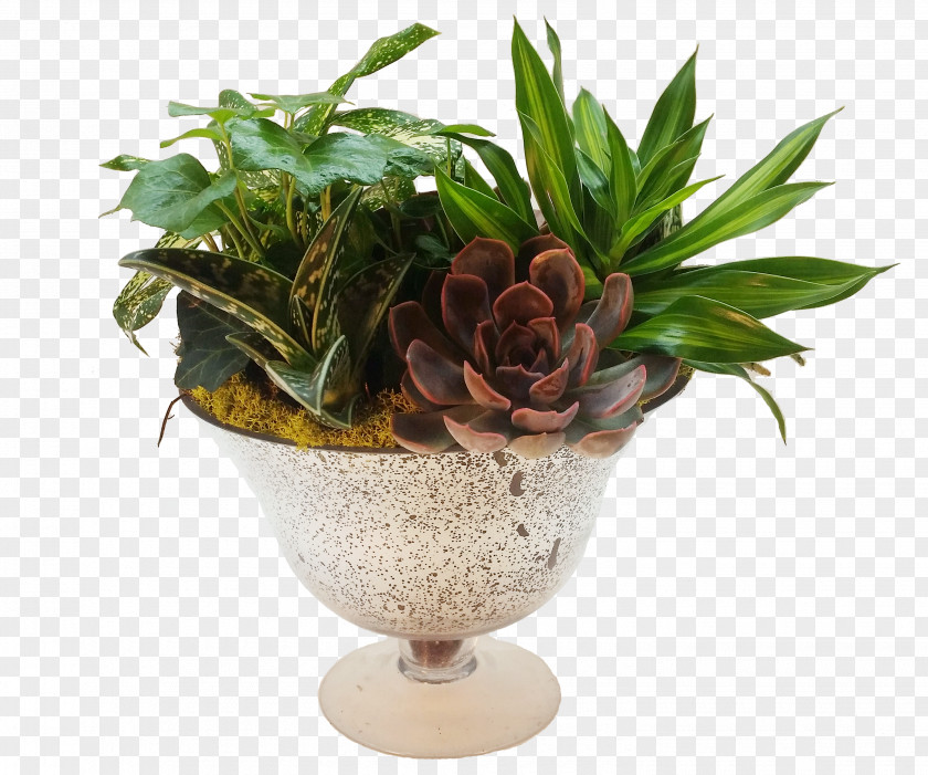 Suculent Flowerpot Floral Design Artificial Flower Floristry PNG