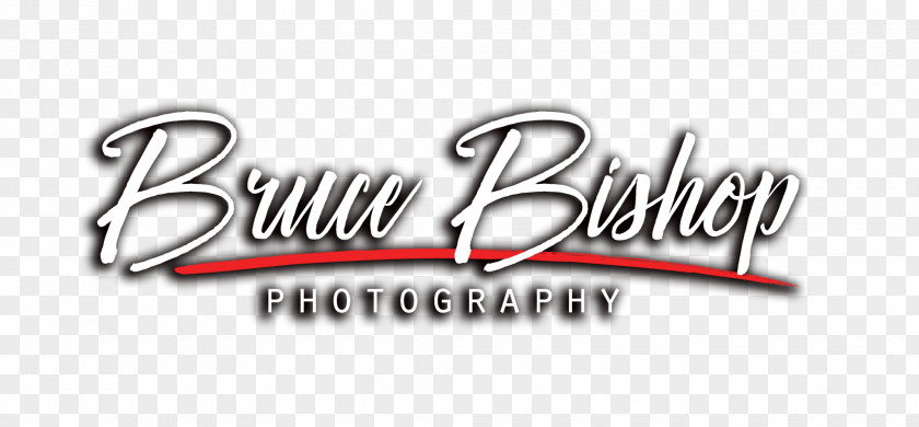 Wedding Bishop Photography Portrait Photographer PNG