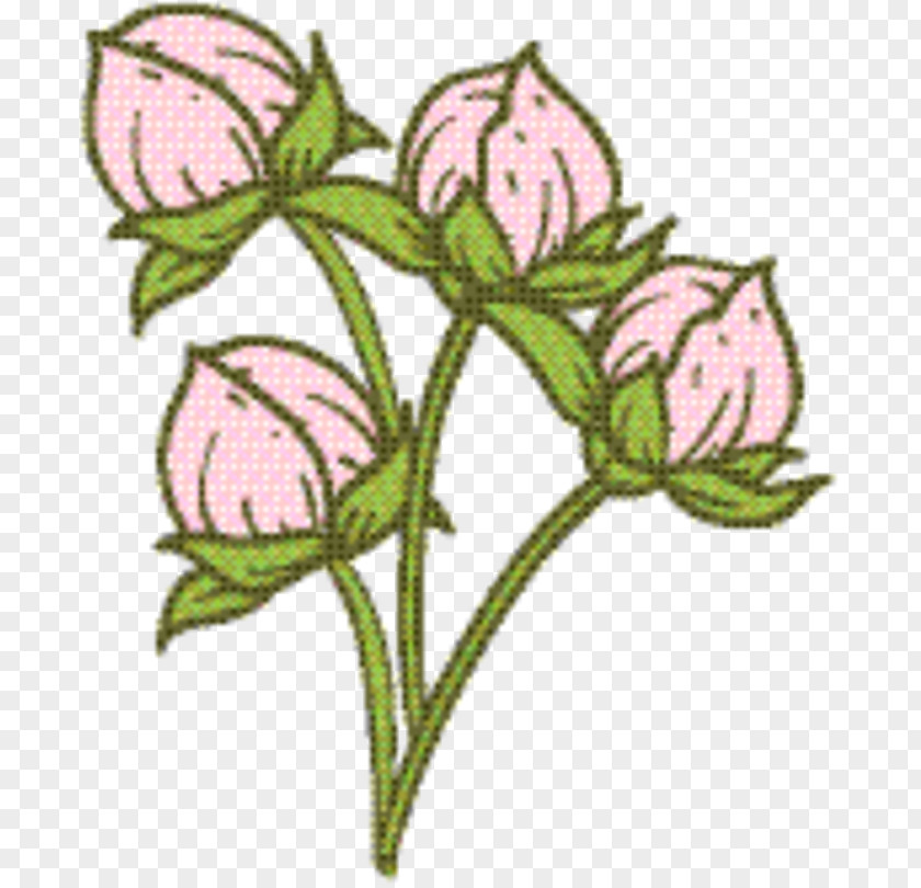 Bellflower Family Rose Petal PNG