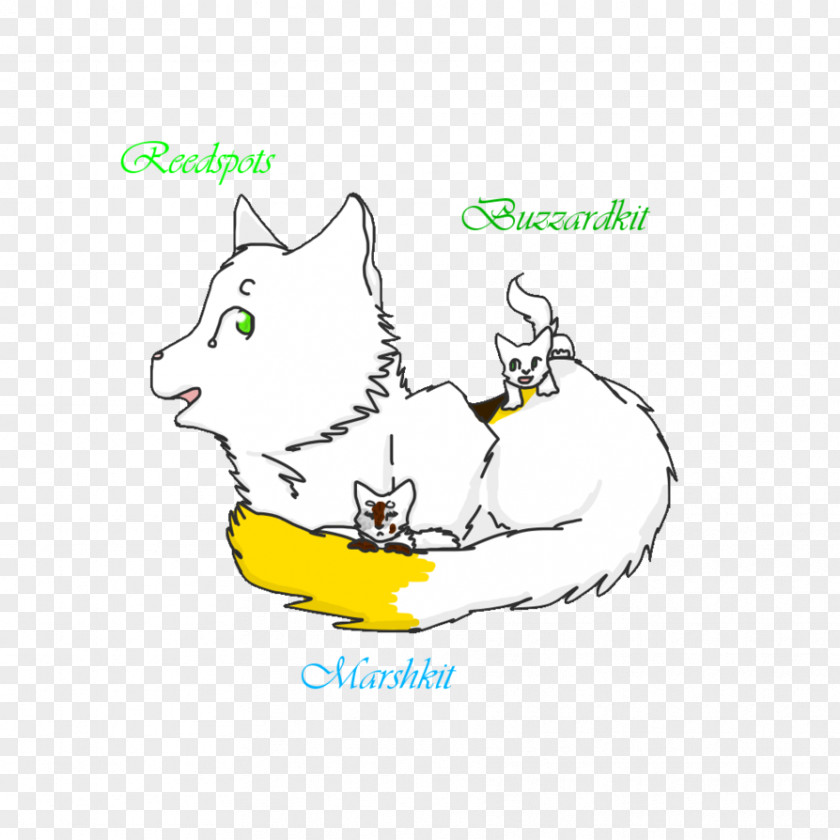 Cat Whiskers Drawing Clip Art PNG