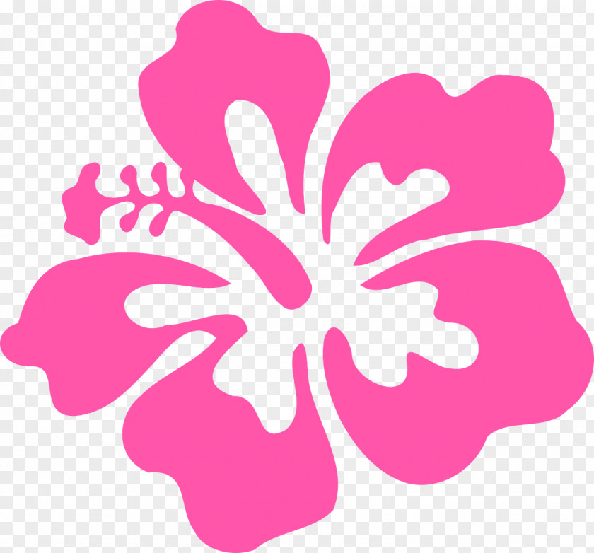 Coral Hibiscus Alyogyne Huegelii Clip Art PNG