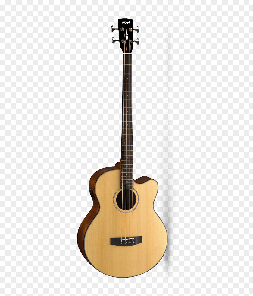 Cort Acoustic Bass Guitars Guitar PNG