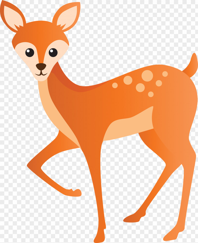 Deer Wildlife Tail Fawn Snout PNG