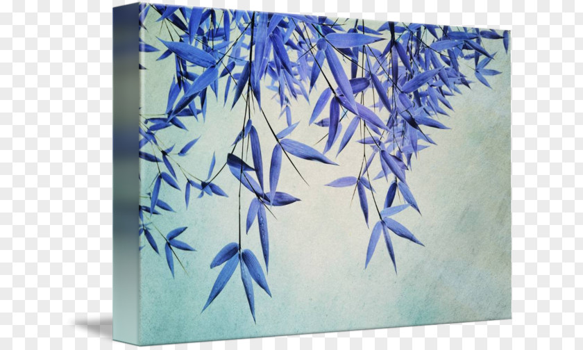 Painting Gallery Wrap Canvas Graphic Arts PNG