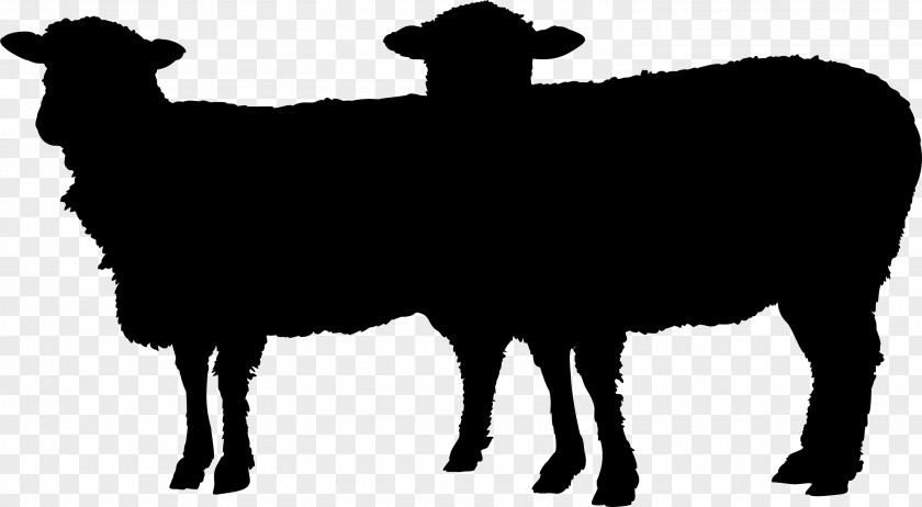 Sheep Cattle Goat Mammal Clip Art PNG
