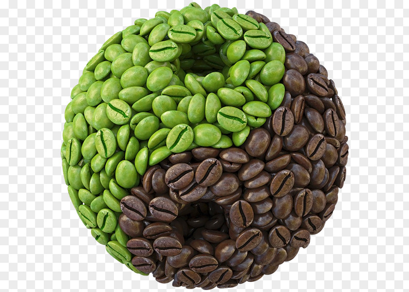 Coffee Green Extract Instant Bean PNG