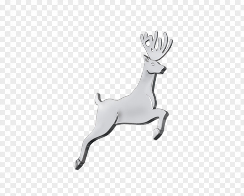 Deer,elk,Christmas Elements,White Deer Reindeer Christmas Pxe8re Davids PNG