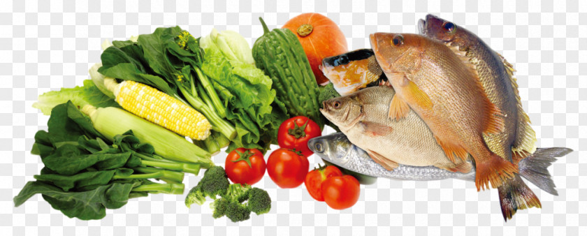 Group Of Fish Dietary Fiber Eating Food Nutrition PNG