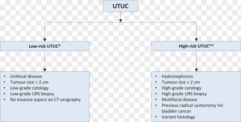 Line Document Organization Angle PNG