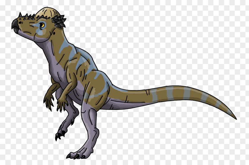 Tyrannosaurus Velociraptor Terrestrial Animal Carnivora PNG
