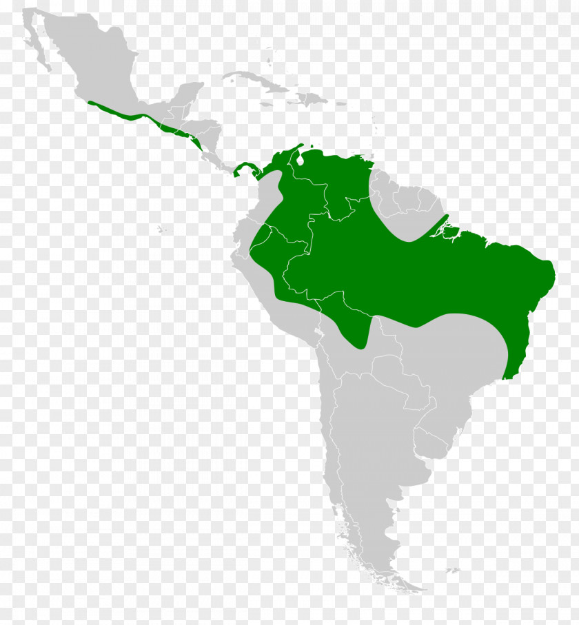 United States Latin America Caribbean South Southern Cone Central PNG