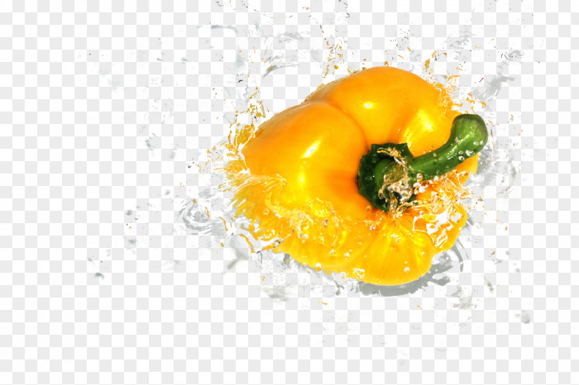Vector Yellow Bell Pepper Capsicum Chili Vegetable Stock.xchng PNG