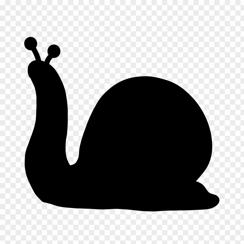 Clip Art Snail Silhouette PNG