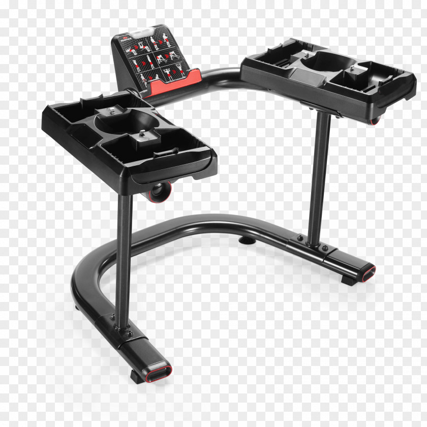 Dumbbell Bowflex Exercise Fitness Centre Bench PNG