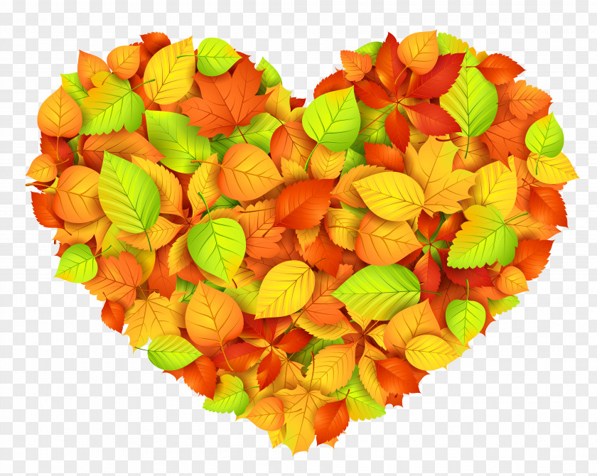 Fall Autumn Leaf Color Heart Clip Art PNG