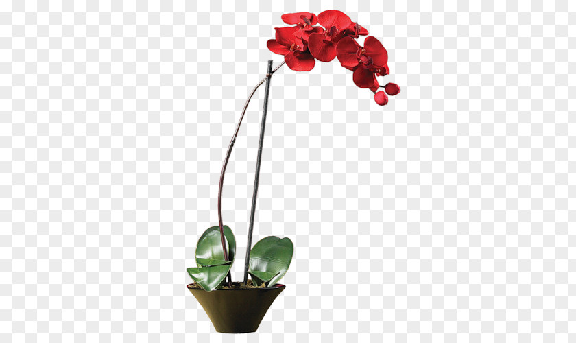 Flower Moth Orchids Artificial Rose PNG