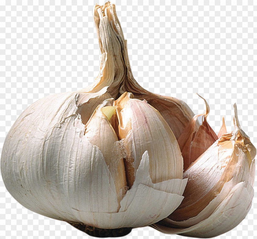 Garlic Shallot Ramsons Allicin Wallpaper PNG