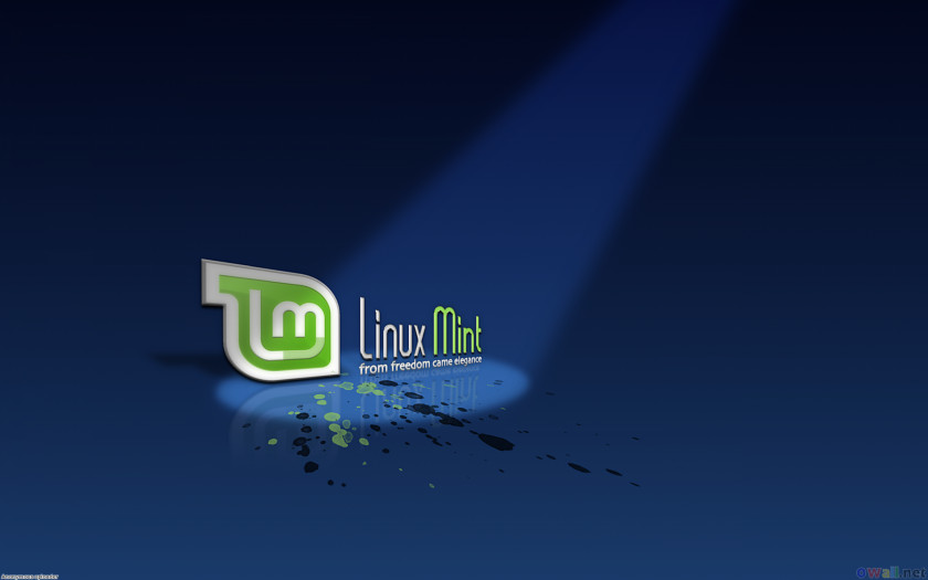 Mint Linux Desktop Wallpaper Display Resolution Environment PNG