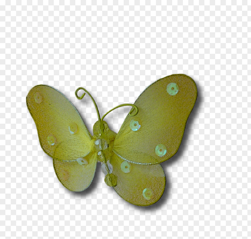 Papillon Moth PNG