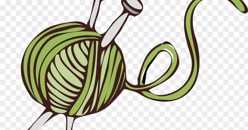 Plant Leaf Drawing PNG