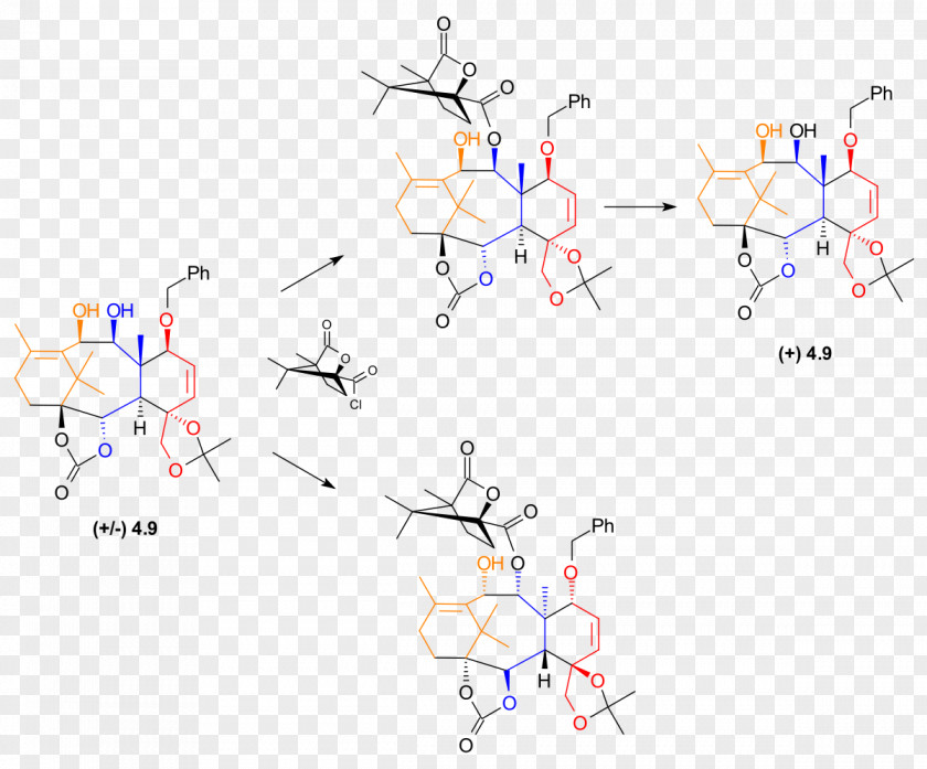 Chromatography Column Paclitaxel Total Synthesis Nicolaou Taxol Enantiomer Camphorsulfonic Acid PNG