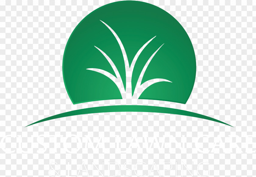 Grass Plant Green Leaf Logo PNG