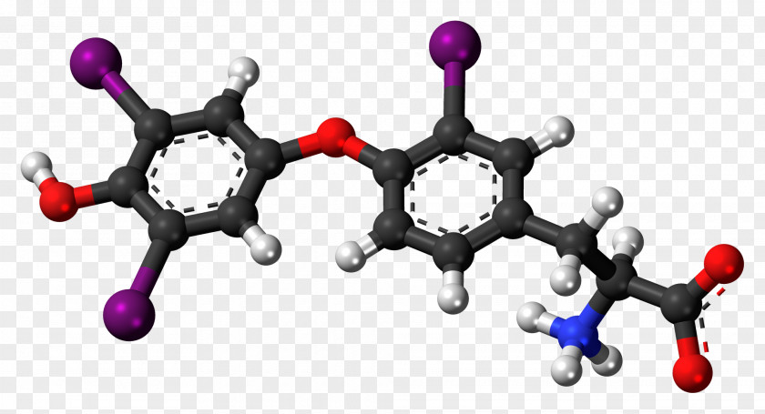 Reverse Triiodothyronine Thyroid Hormones Iodothyronine Deiodinase Diiodotyrosine PNG