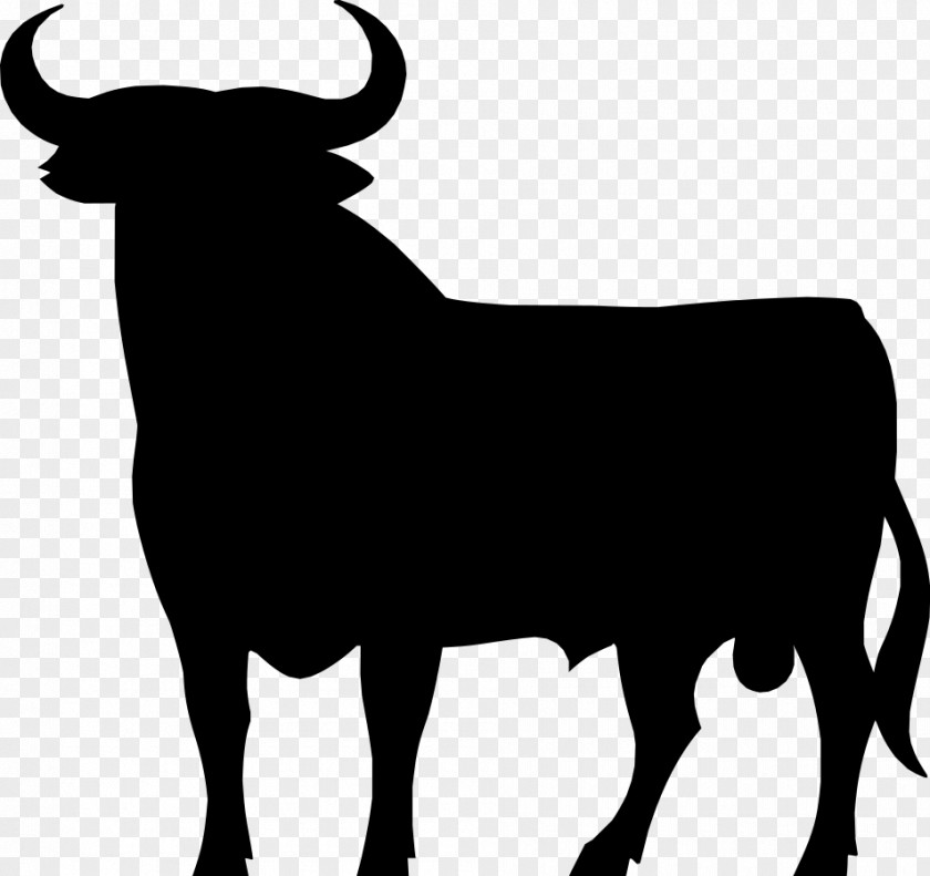 Wine Spanish Fighting Bull Brandy Spain Osborne PNG