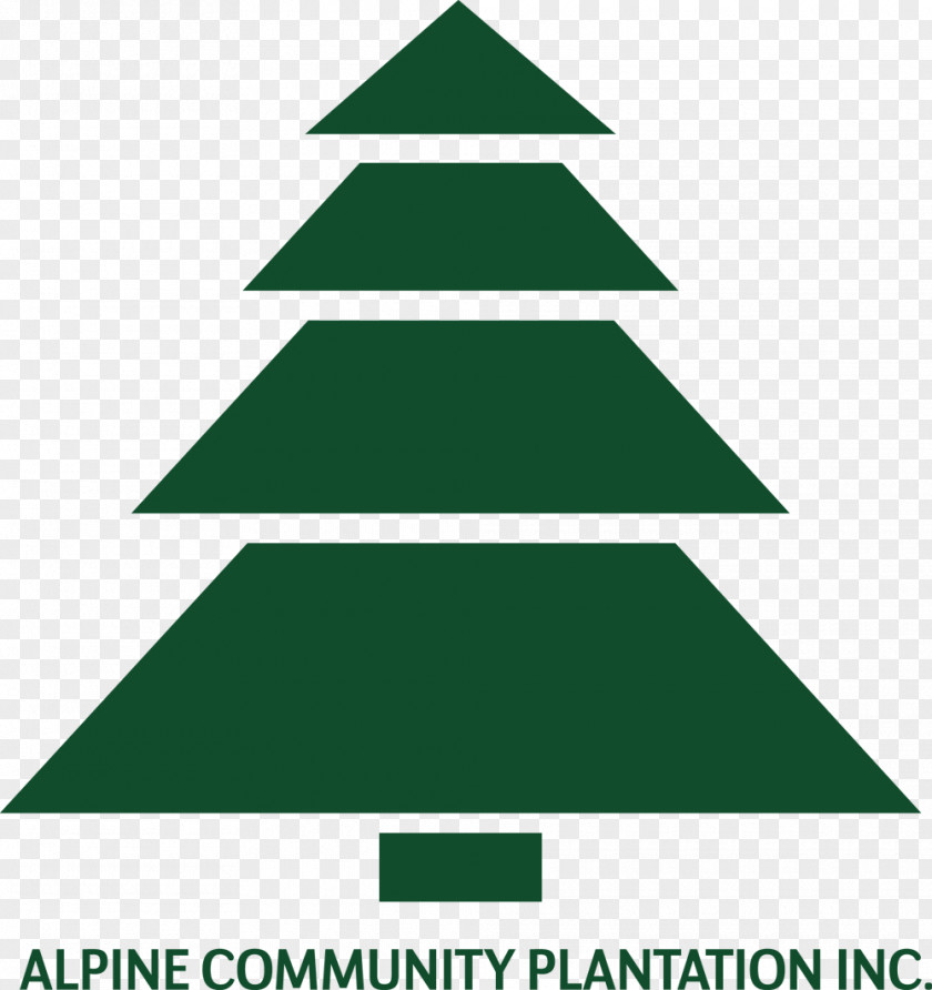 Australian Government Logo Christmas Tree Dota 2 Clip Art Spruce Ornament PNG