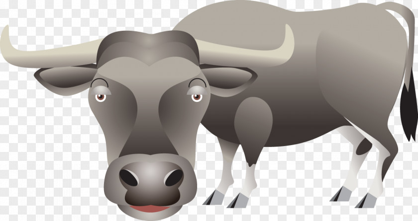 Bull Dairy Cattle Clip Art PNG