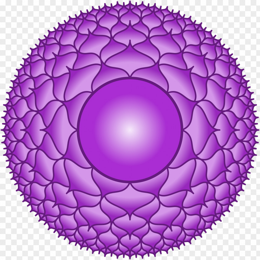 Energy Chakra Sahasrara Kundalini Muladhara Subtle Body PNG