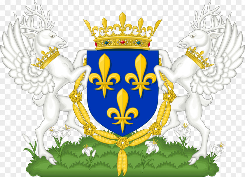 France Kingdom Of New Coat Arms Capetian Dynasty PNG