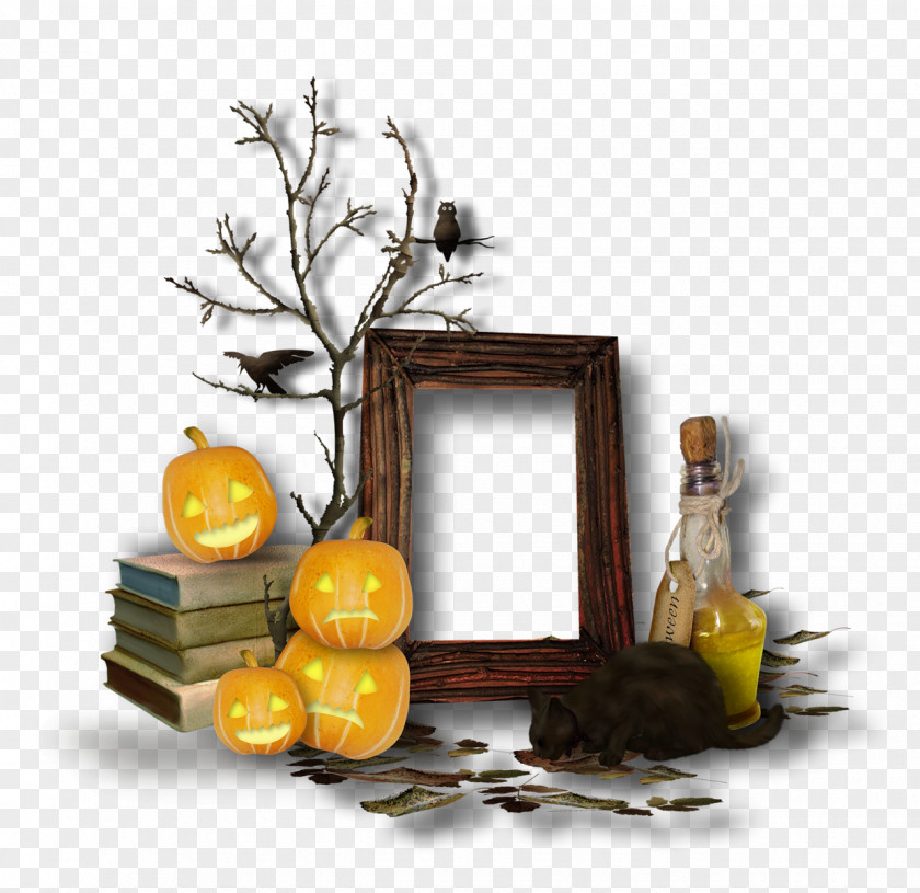 Halloween Web Hosting Service Page Banner Plug-in PNG
