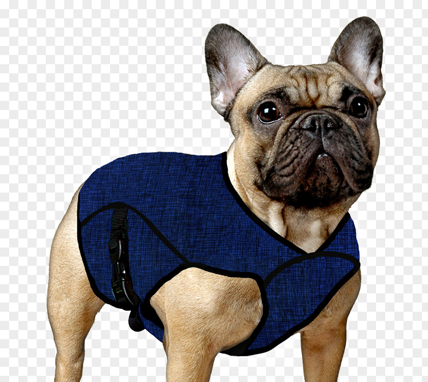 Jacket Dog Clothing Accessories Pet Refrigerant PNG